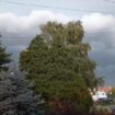 Kišne oblake nad Zrenjaninom razbijaju protivgradne rakete 15