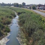 Veliki bački kanal, najzagađeniji vodotok Evrope, korak bliže čišćenju 3