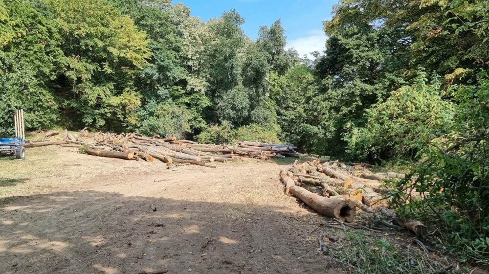 021: Vlada Srbije razrešila direktora NP Fruška Gora 1