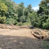 021: Vlada Srbije razrešila direktora NP Fruška Gora 3