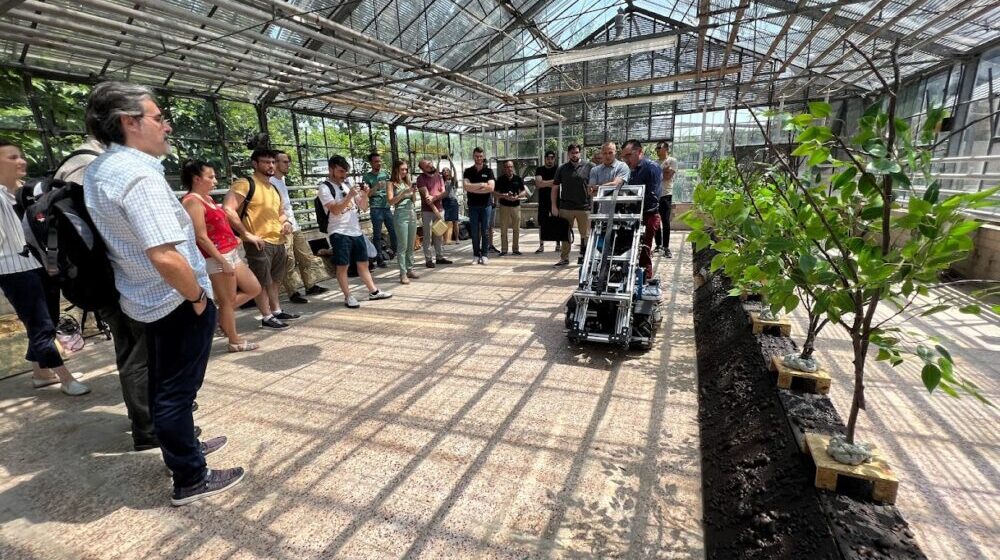 Robot „Gari” pomaže borovnici da ima veće prinose 1