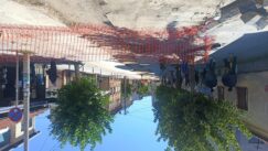 "Stanovnici Karađorđeve pet meseci žive u ratnoj zoni": Agonija građana Vranja zbog fekalne kanalizacije 7