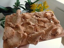 Vege recept: Pohovane bukovače 5