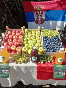 "Nećemo u ekološko izbeglištvo": Levčani na blokadi u Sibnici kod Rekovca, ne daju istraživanje bora i litijuma 3 "Nećemo u ekološko izbeglištvo": Levčani na blokadi u Sibnici kod Rekovca, ne daju istraživanje bora i litijuma 3