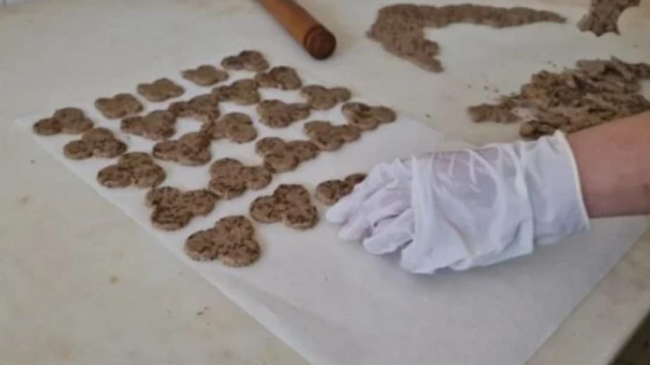 Jedi zdravo čini dobro - opstanak preduzeća je siguran posao za osobe sa invaliditetom 1