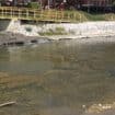 Najavljena bušenja zemljišta u Užicu i Sevojnu na trasi kolektora za regionalno postrojenje za prečišćavanje otpadnih voda u Požegi 17
