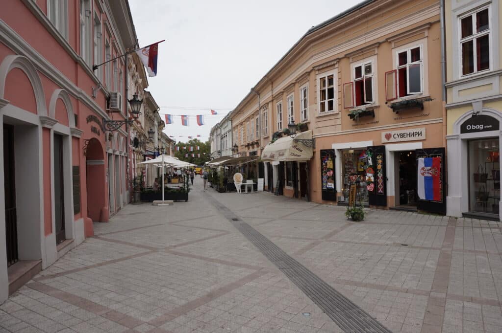 Vojvođanske zastave preživljavaju teške dane, niko ih ne ističe 4