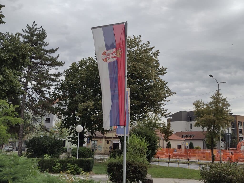 I Srpska napredna stranka zaboravila na praznik koji je sama uvela: U Kragujevcu Dan zastave bez zastava 4