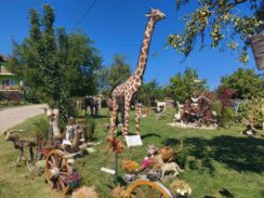 I najviši i najniži čovek na svetu i jedna od najotrovnijih životinja na planeti na jednom mestu – u Sikolu kod Negotina 3