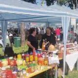 Održan 13. Festival zimnice u Koceljevi 6