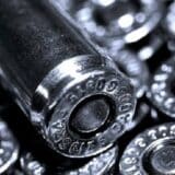 Kod Jagodinca policija pronašla dve lisice, lane i oružje 11