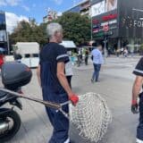 Građani zabrinuti zbog učestalih akcija šintera u Nišu: Da li hvataju pse lutalice zbog prihvatilišta u Dugoj Poljani? 4