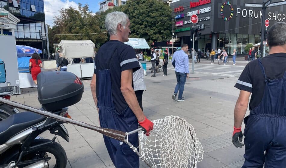 Građani zabrinuti zbog učestalih akcija šintera u Nišu: Da li hvataju pse lutalice zbog prihvatilišta u Dugoj Poljani? 1