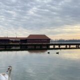 “Moramo da pročistimo jezero Palić”: Poboljšan kvalitet vode u jezeru, ali nedovoljno za kupanje 11