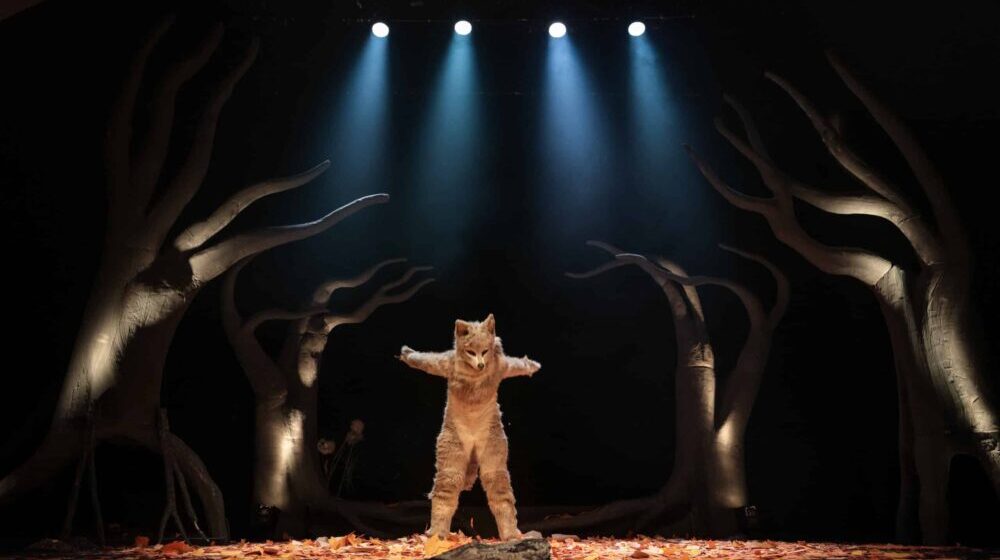 Glumac Duško Mazalica: Predstava „Vuk sa mirisom Bobica“ govori o snazi prirode i njenom nedostatku kod čoveka 1