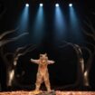 Glumac Duško Mazalica: Predstava „Vuk sa mirisom Bobica“ govori o snazi prirode i njenom nedostatku kod čoveka 18