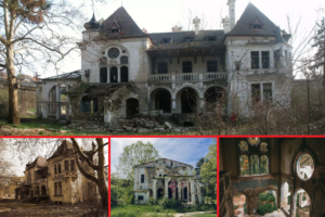 Špicerov dvorac u Beočinu: Nekad velelepna građevina – danas kuća duhova 2 Špicerov dvorac u Beočinu: Nekad velelepna građevina – danas kuća duhova 2