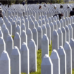 "Nastavak genocidne politike": Profesor Draško Bjelica o najavi predsednika Srbije da će u UN ponovo pokušati da zaustavi Rezoluciju o Srebrenici 13