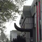 Poziv Mitrovčanima da učestvuju u participativnom budžetiranju 8