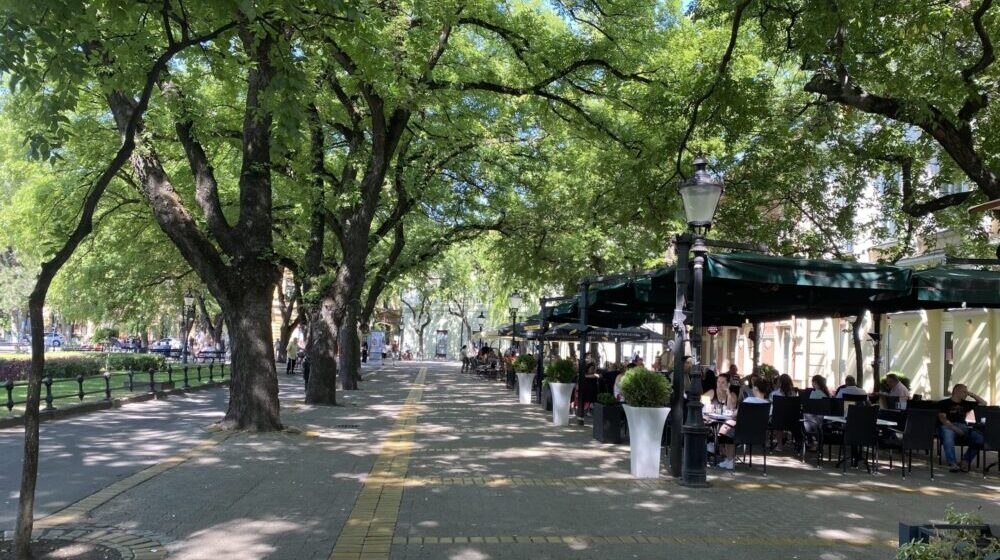 Zašto je u Subotici zavisnost i upotreba droge među mladima tabu tema 1