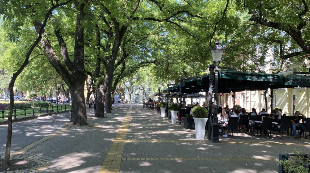 Šoralov: Nastavlja se infrastrukturalni razvoj nekoliko mesnih zajednica u Subotici 1