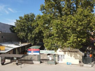 Srpske zastave na svim novosadskim pijacama 2