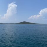 Moravac nasred Egeja: Fiš piknik i krstarenje Ajvaličkim arhipelagom 8