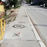 Naopako u Valjevu: Posečen stogodišnji dud da bi se postavio semafor 13