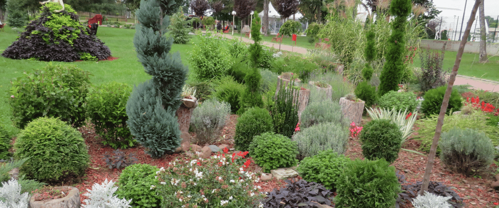 Kragujevčani kradu sadnice iz Velikog parka 1