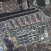 IAEA: Oslobođen generalni direktor nuklearne centrale Zaporožje 12
