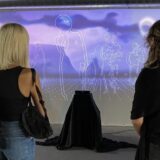 Rad Mirror Terrai novosadskog umetnika Miloša Fatha predstavljen u Lincu 2