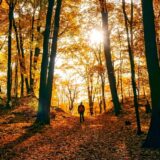 Bukovački maraton za vikend na Fruškoj gori 6