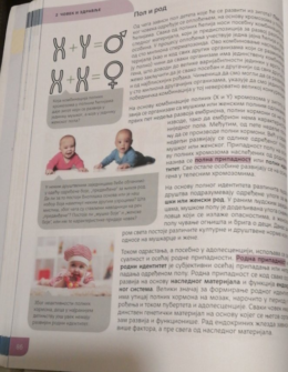 Program biologije nesporan: Da li će "pod lupu" doći i udžbenici? 2