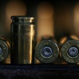 Beočinac dobio pet godina zatvora zbog nelegalnog oružja, krivicu probao da svali na majku 1