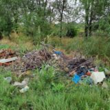 U Zrenjaninu počinje sistemska deratizacija 3