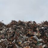 VOICE: Buduća regionalna deponija u Novom Sadu ugroziće naselja i prirodna staništa 8