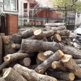 Krivične prijave za četvoricu Vranjanaca osumnjičenih za krađu ogrevnih drva 1