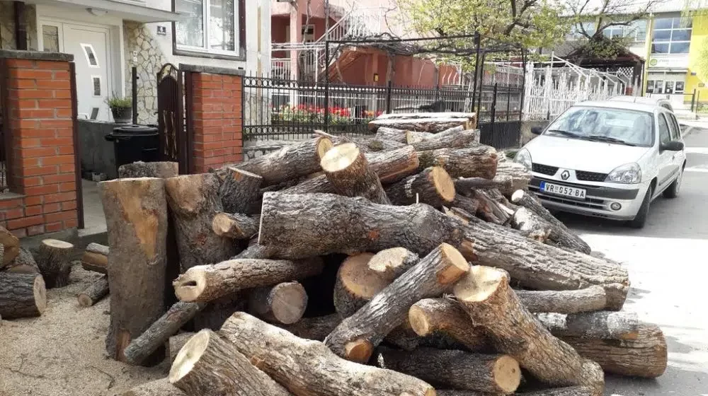 Krivične prijave za četvoricu Vranjanaca osumnjičenih za krađu ogrevnih drva 1