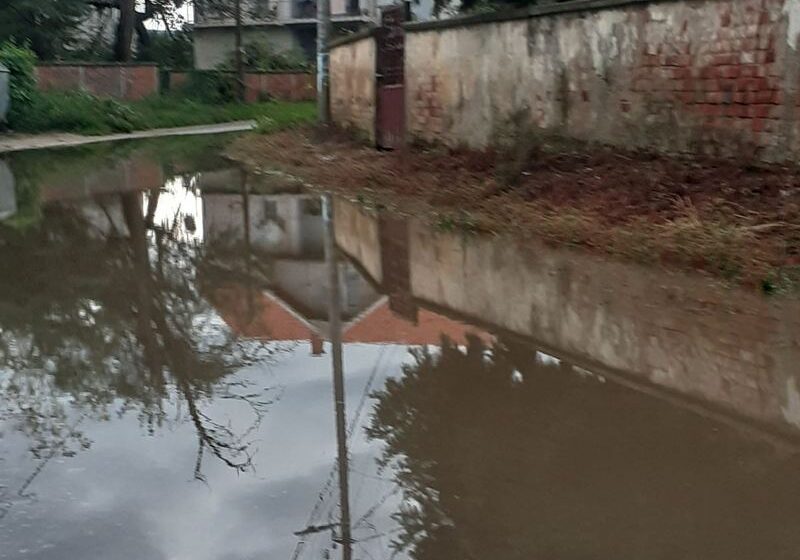 Porodicu Marković iz Gornjeg Bunibroda kod Leskovca 30 godina muči jezero ispred kuće 1