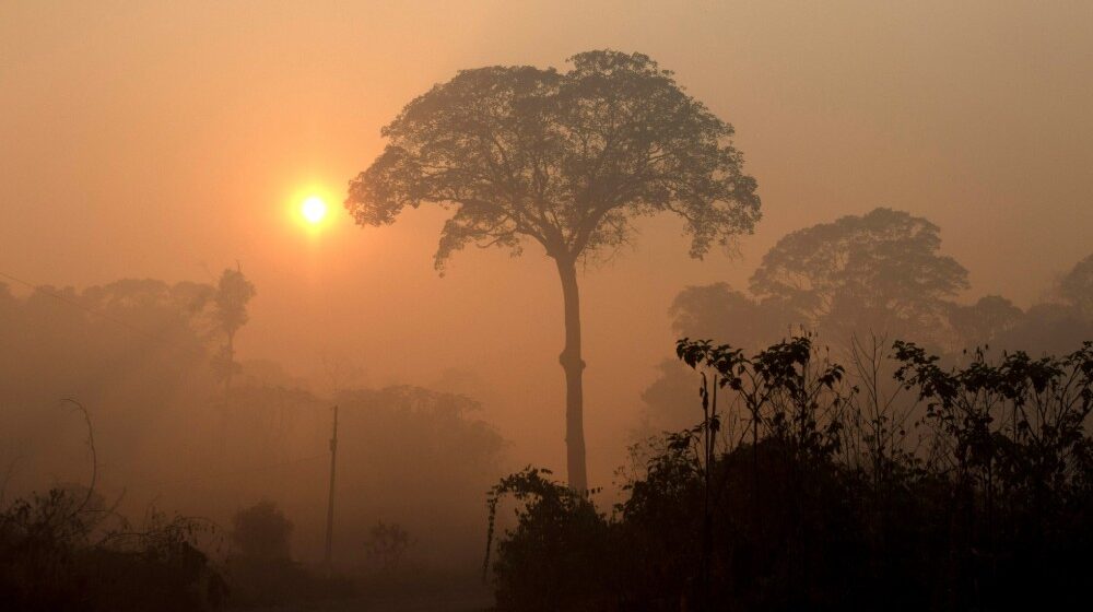 Broj požara u brazilskoj amazonskoj prašumi ovog meseca najviši u poslednjih pet godina 1