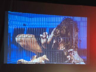 Pozoriste Deze Kostolanji "Ludi genijalac koji tragično završava svoj život": Reditelj Urban o predstavi inspirisanom životom subotičkog pisca Geze Čata 4