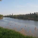 U Zrenjaninu i Žitištu počinju radovi na zaštiti nasipa od poplava 3