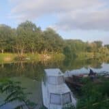 Za suzbijanje komaraca i ambrozije Zrenjanin dobio privatnog partnera 13