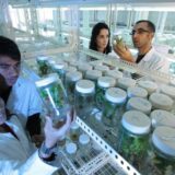 Naučnica tuži novosadski Institut za prehrambene tehnologije: Otkaz bez prava na žalbu 5