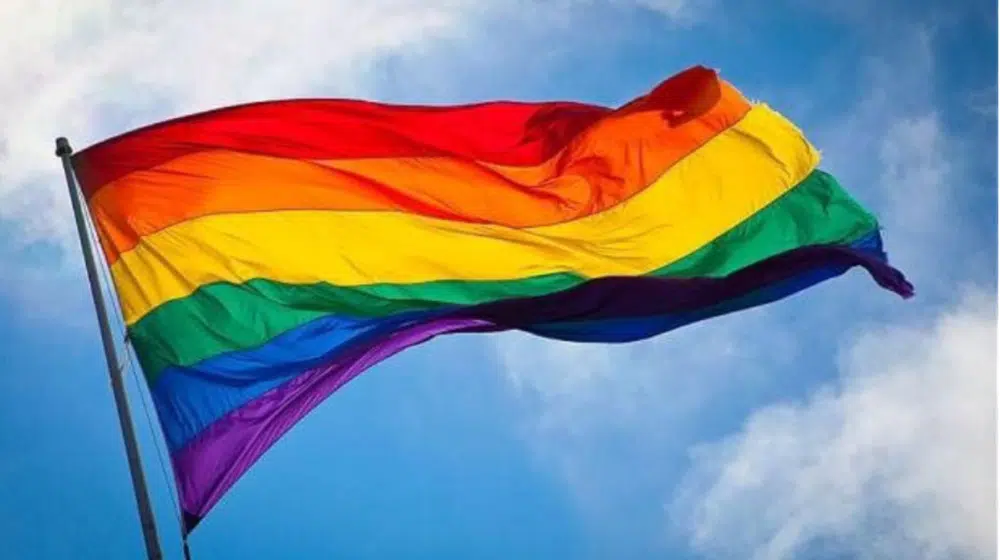 Ruski parlament glasao za pooštravanje zakona protiv LGBT zajednice 1