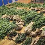 Zaječarska policija uhapsila osumnjičene za prodavanje opojnih droga 2