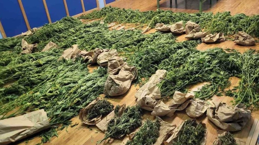 Zaječarska policija uhapsila osumnjičene za prodavanje opojnih droga 1