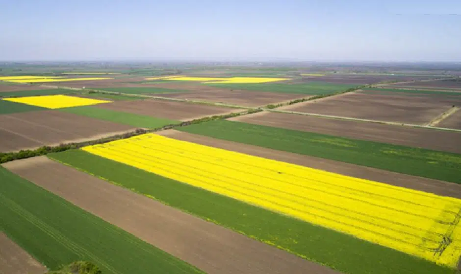 U Rumi plaćeno milion evra za 5 hektara i 66 ari zemljišta 1