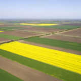 U Rumi plaćeno milion evra za 5 hektara i 66 ari zemljišta 11