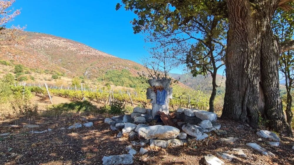 Prva “Prženijada” u knjaževačkom selu Ošljane 1